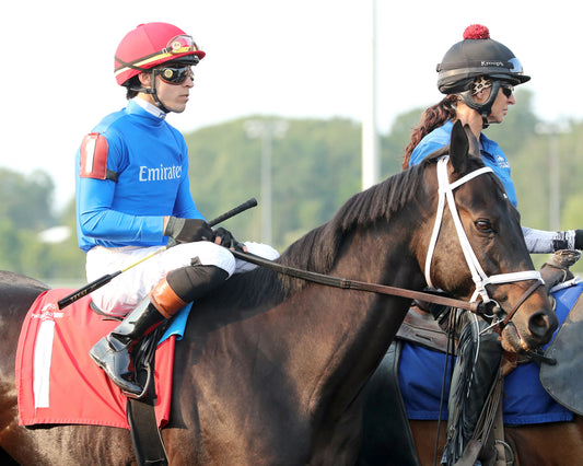 ENCINO - The Avery Whisman Memorial Stakes - 08-10-26 - R07 - PID - Post Parade 02