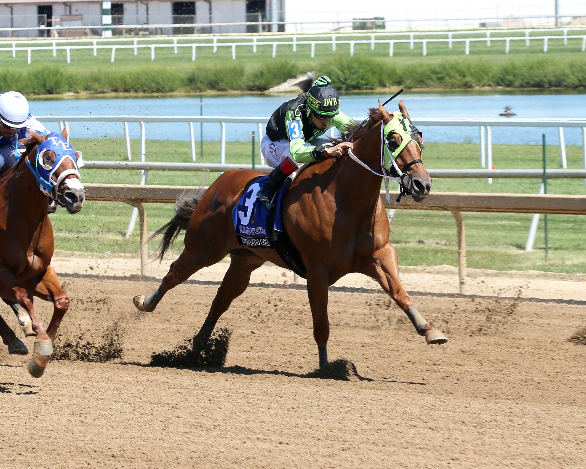 ESCONDIDO GOLD - QHRAI Stallion Service Auction Derby Invitational - 08-30-25 - R06 - Horseshoe Indiana - Finish 02 - Sammantha Pagels - Coady Media - Kurtis Coady Photography