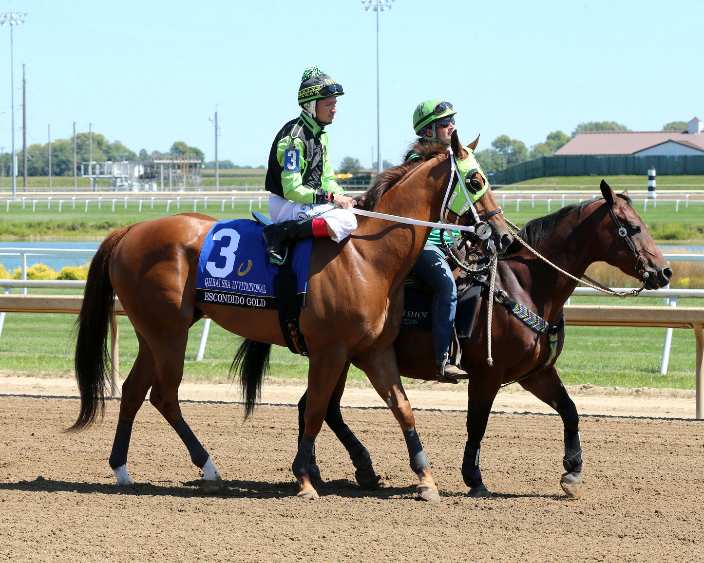 ESCONDIDO GOLD - QHRAI Stallion Service Auction Derby Invitational - 08-30-25 - R06 - Horseshoe Indiana - Post Parade 02 -Sammantha Pagels - Coady Media - Kurtis Coady Photography