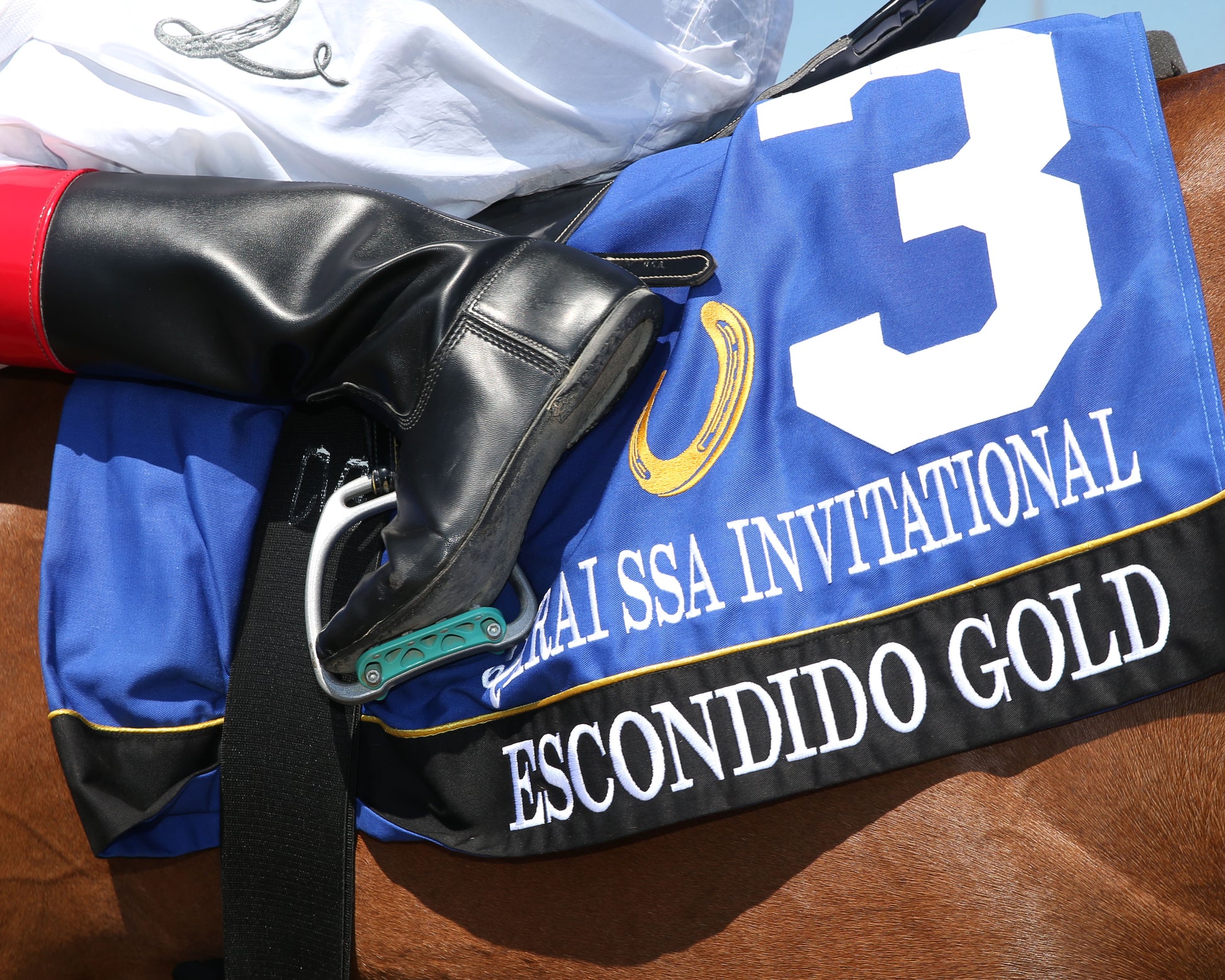 ESCONDIDO GOLD - QHRAI Stallion Service Auction Derby Invitational - 08-30-25 - R06 - Horseshoe Indiana - Saddle Towel 01 - Sammantha Pagels - Coady Media - Kurtis Coady Photography
