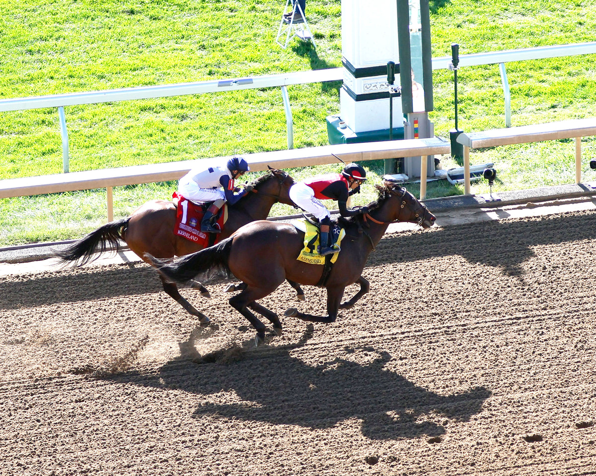 EVANESCENCE - 100326 - Race 07 - KEE  The Thoroughbred Club of America G2 - Aerial Finish 01