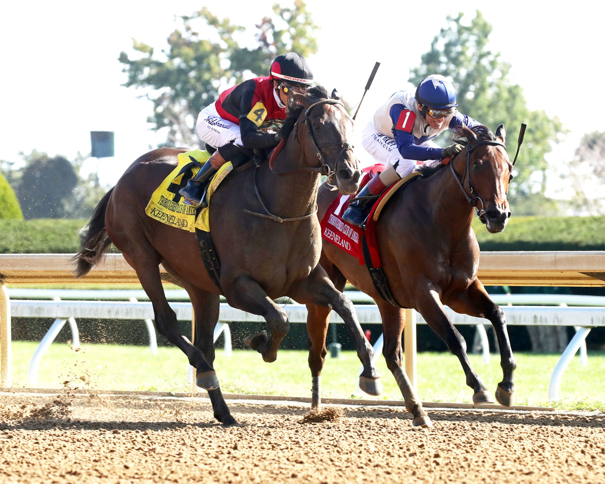 EVANESCENCE - 100326 - Race 07 - KEE  The Thoroughbred Club of America G2 - Finish 02
