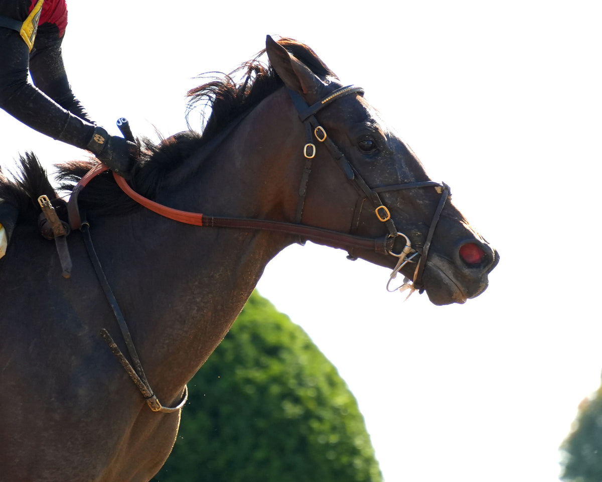 EVANESCENCE - 100326 - Race 07 - KEE  The Thoroughbred Club of America G2 - Gallop Out 01