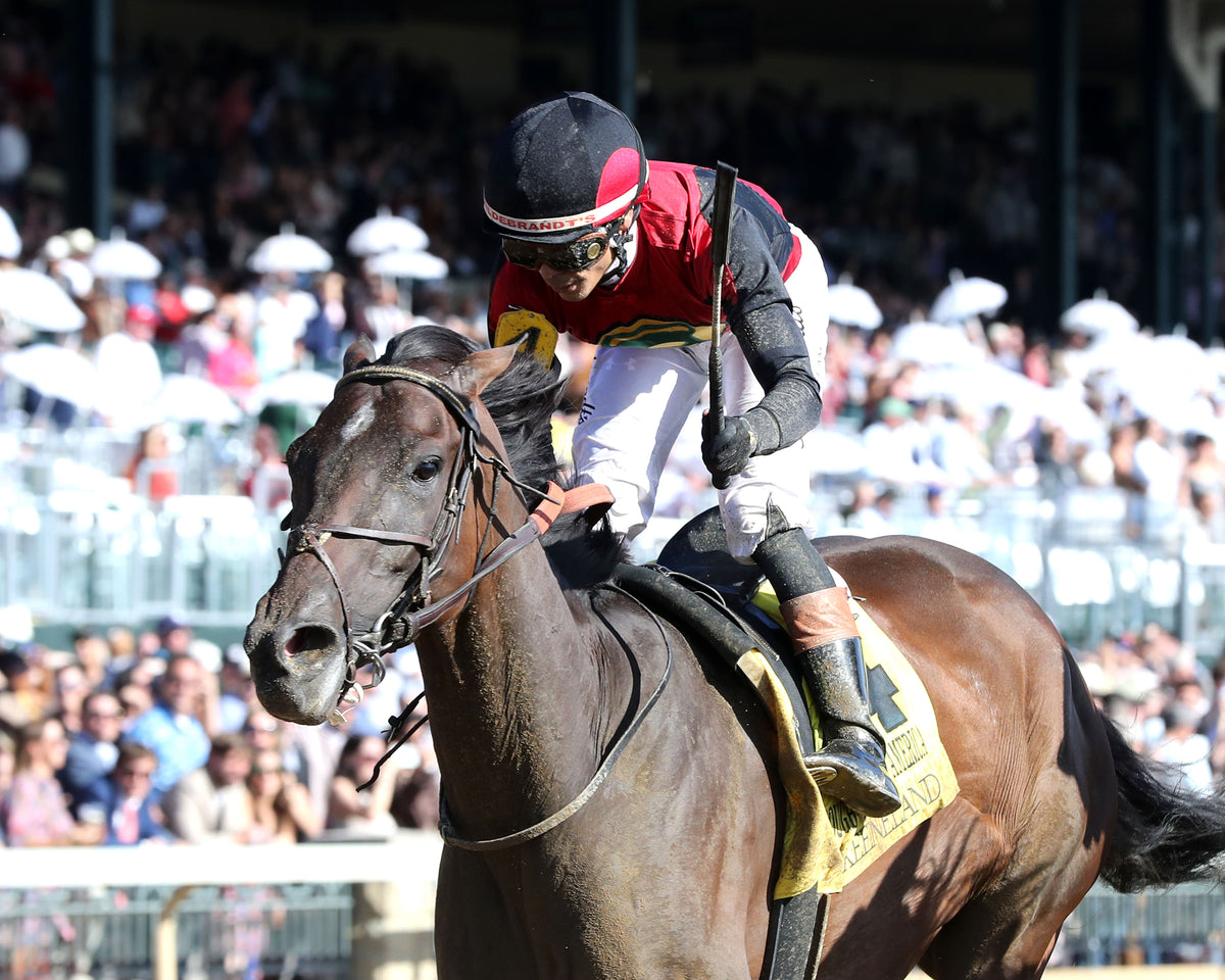 EVANESCENCE - 100326 - Race 07 - KEE  The Thoroughbred Club of America G2 - Inside Finish 01