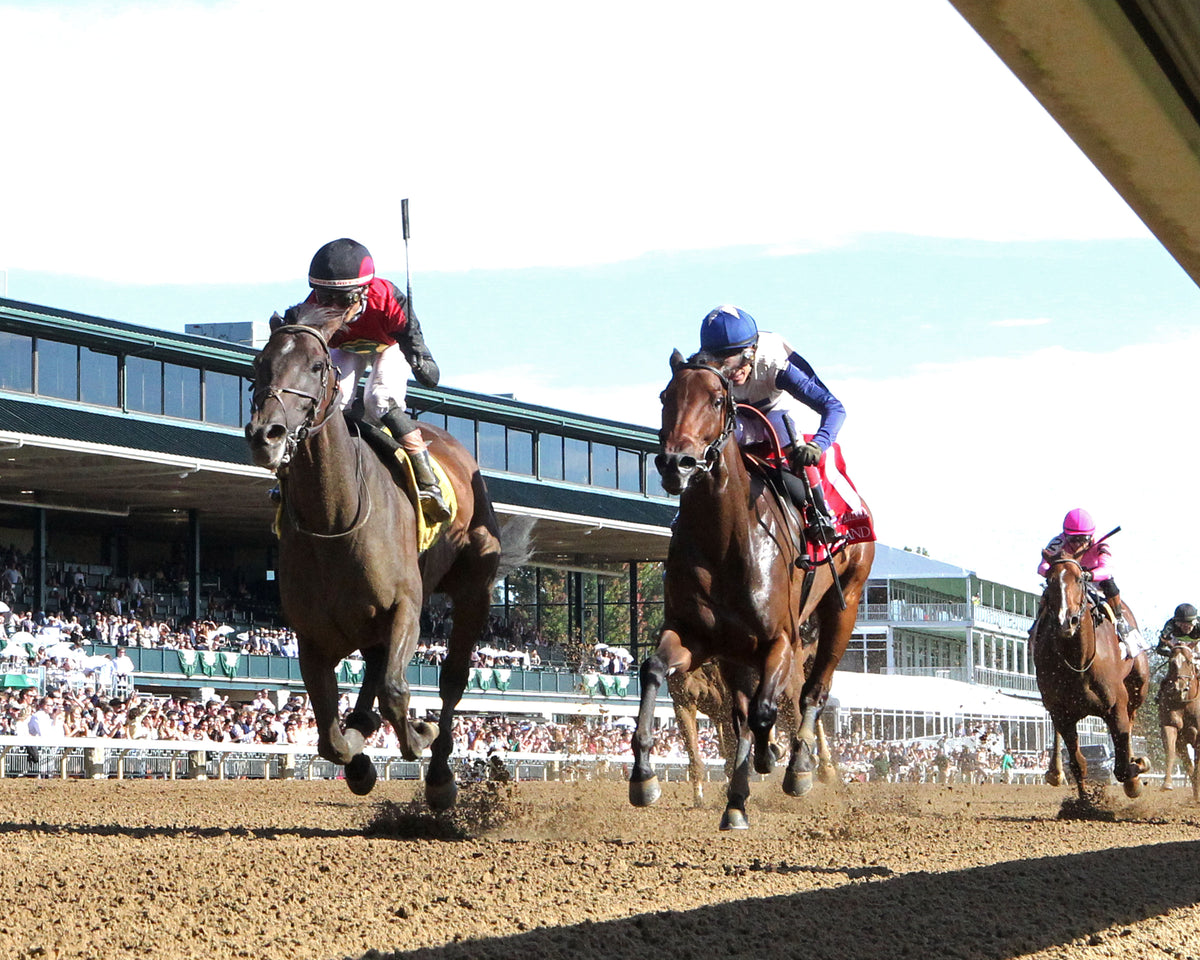 EVANESCENCE - 100326 - Race 07 - KEE  The Thoroughbred Club of America G2 - Under Rail 01