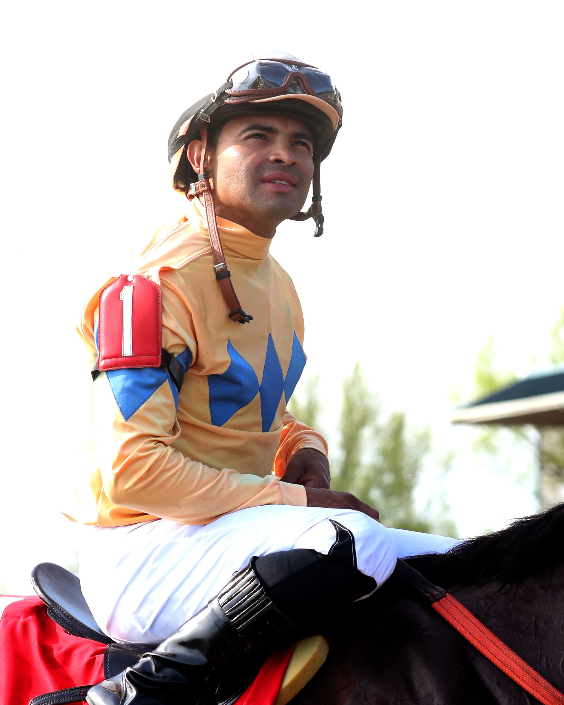 EXPENSIVE QUEEN - 041126 - Race 09 - KEE  Jenny Wiley G1 - 38th Running - Luis Saez 01 - Coady Media - Kurtis Coady Photography