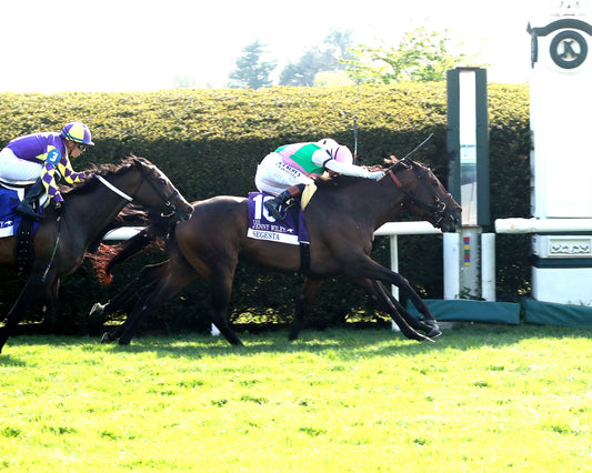 EXPENSIVE QUEEN - Jenny Willey G1 - 38th Running  - 04-11-26 - R09 - KEE - Finish 01 - Coady Media - Kurtis Coady Photography