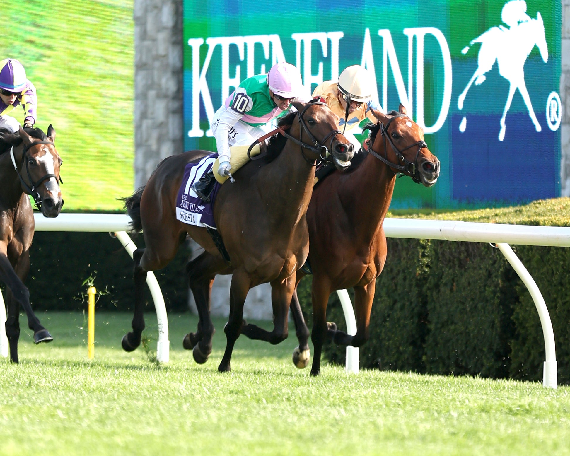EXPENSIVE QUEEN - Jenny Willey G1 - 38th Running  - 04-11-26 - R09 - KEE - Finish 02 - Coady Media - Kurtis Coady Photography