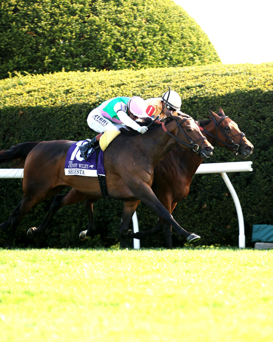EXPENSIVE QUEEN - Jenny Willey G1 - 38th Running  - 04-11-26 - R09 - KEE - Finish 03 - Coady Media - Kurtis Coady Photography