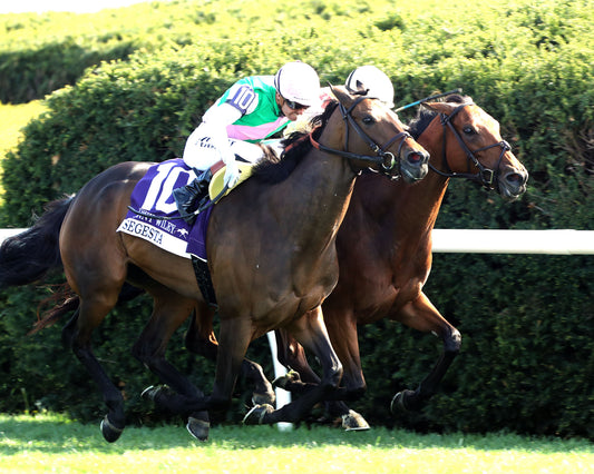 SEGESTA - Jenny Wiley G1 - 38th Running  - 04-11-26 - R09 - KEE - Finish 04 - Coady Media - Kurtis Coady Photography