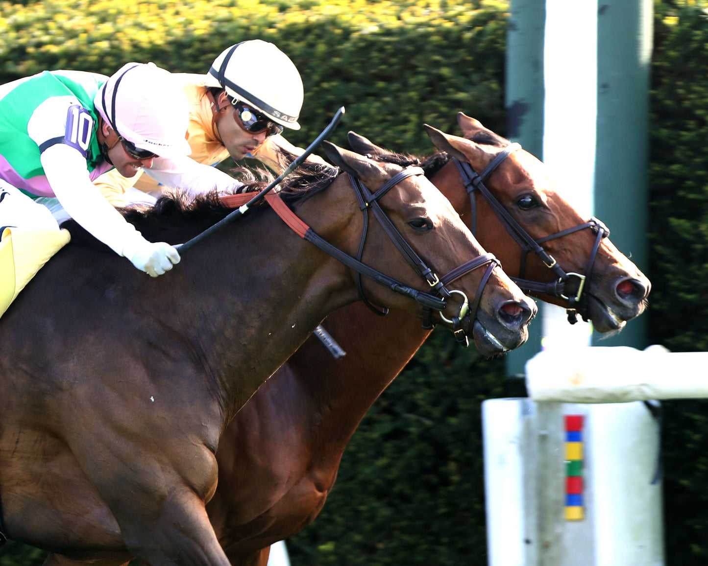EXPENSIVE QUEEN - 041126 - Race 09 - KEE  Jenny Wiley G1 - 38th Running - Finish 05 - Coady Media - Kurtis Coady Photography
