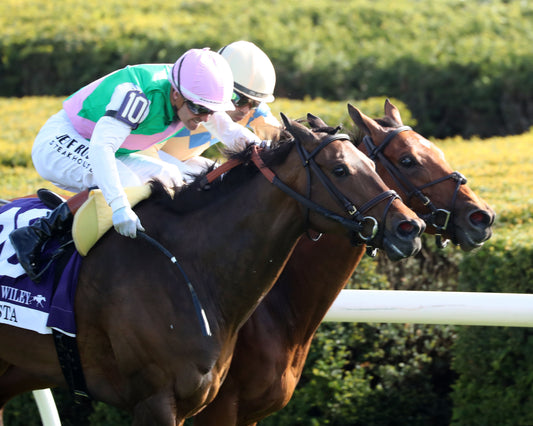 SEGESTA - Jenny Wiley G1 - 38th Running  - 04-11-26 - R09 - KEE - Finish 06 - Coady Media - Kurtis Coady Photography