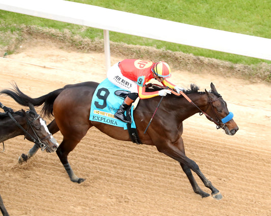 EXPLORA - Honeybee Stakes G3 - 03-01-26 - R09 - OP - Aerial Finish 01 - Coady Media - Kurtis Coady Photography