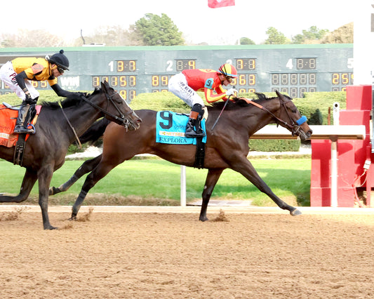 EXPLORA - Honeybee Stakes G3 - 03-01-26 - R09 - OP - Finish 01 - Coady Media - Kurtis Coady Photography