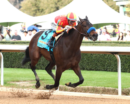 EXPLORA - Honeybee Stakes G3 - 03-01-26 - R09 - OP - Finish 02 - Coady Media - Kurtis Coady Photography