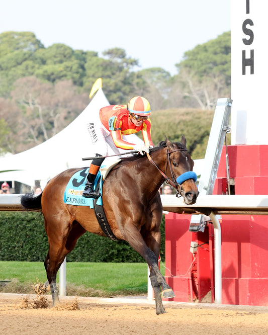 EXPLORA - Honeybee Stakes G3 - 03-01-26 - R09 - OP - Finish 04 - Coady Media - Kurtis Coady Photography
