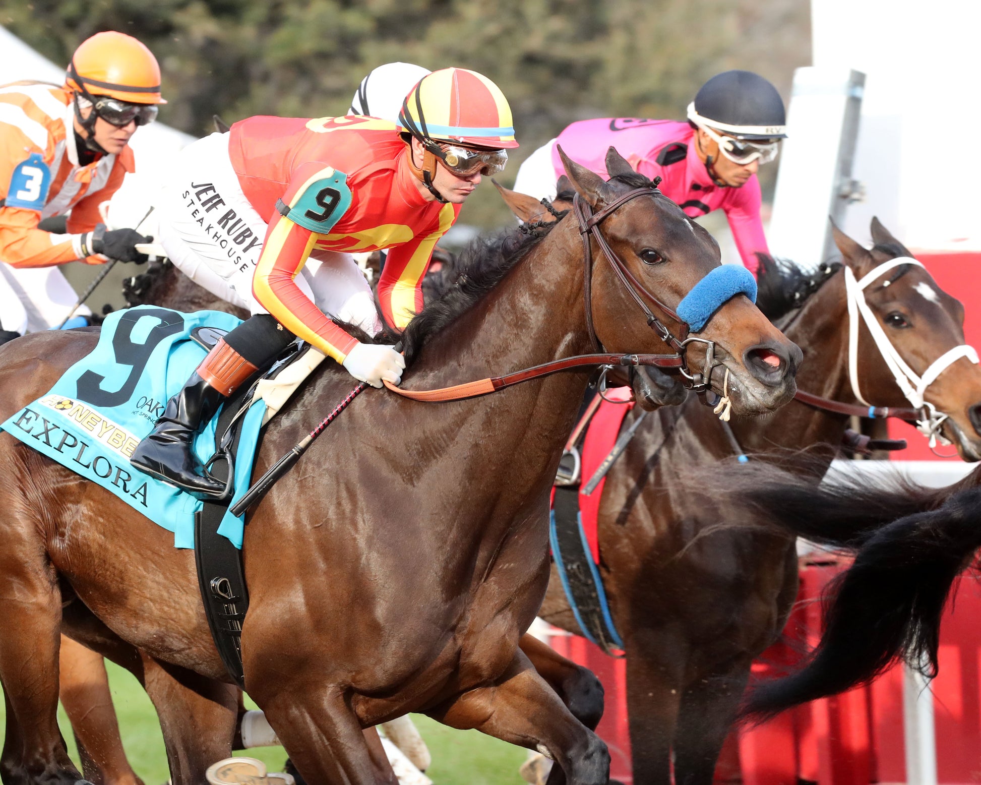 EXPLORA - Honeybee Stakes G3 - 03-01-26 - R09 - OP - First Pass 01 - Coady Media - Kurtis Coady Photography