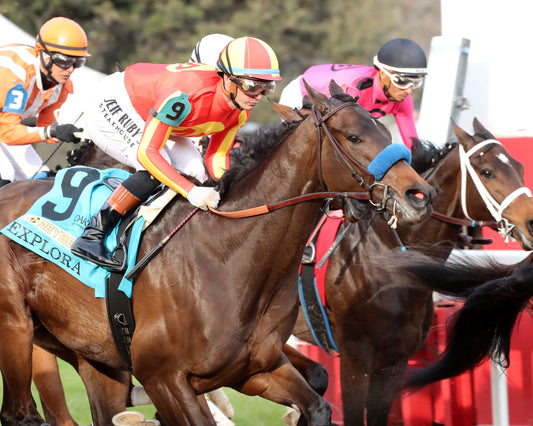 EXPLORA - Honeybee Stakes G3 - 03-01-26 - R09 - OP - First Pass 01 - Coady Media - Kurtis Coady Photography