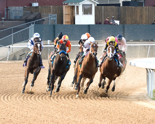 EXPLORA - Honeybee Stakes G3 - 03-01-26 - R09 - OP - First Turn 01 - Coady Media - Kurtis Coady Photography