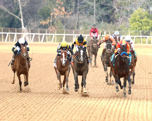 EXPLORA - Honeybee Stakes G3 - 03-01-26 - R09 - OP - Head On 01 - Coady Media - Kurtis Coady Photography