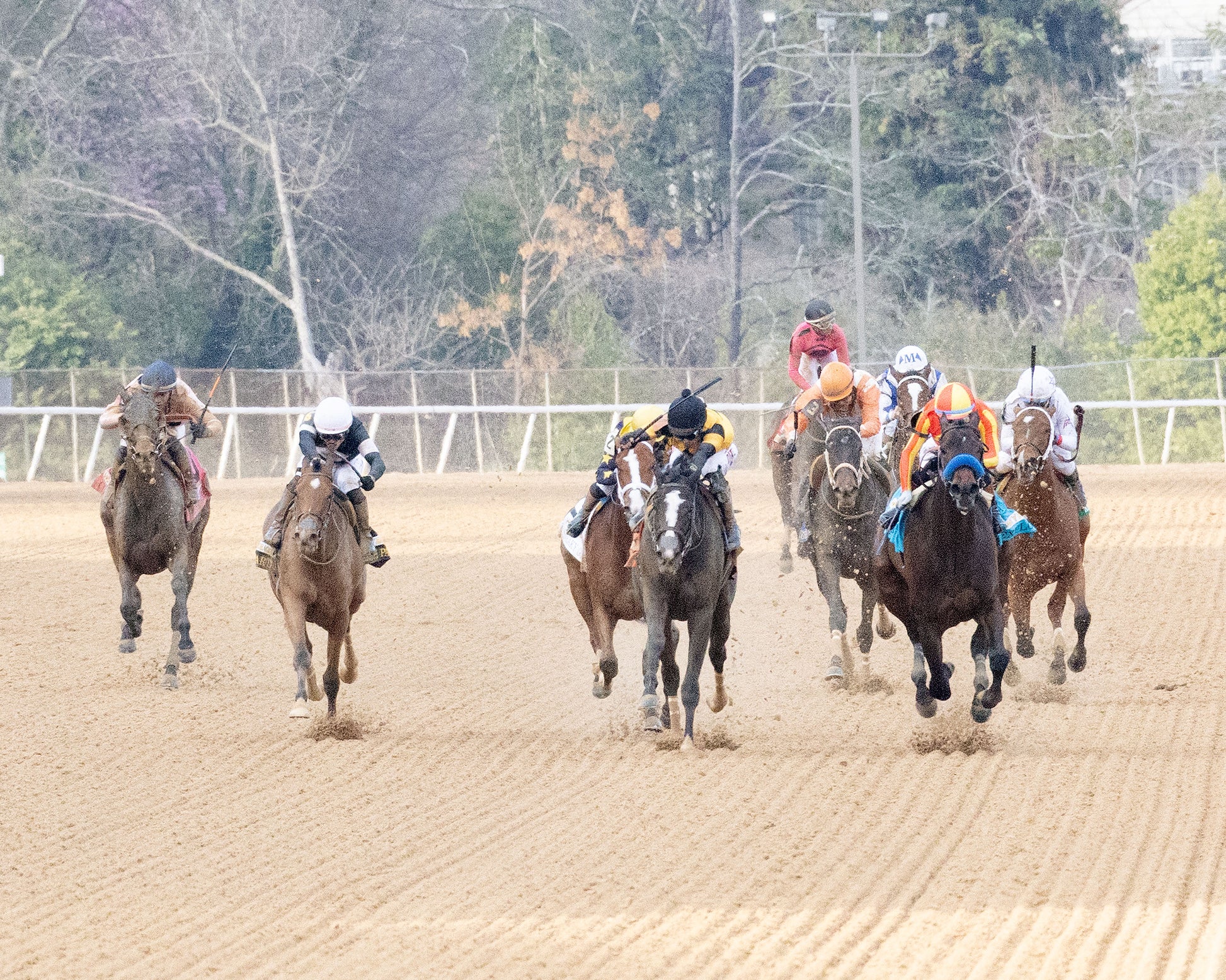 EXPLORA - Honeybee Stakes G3 - 03-01-26 - R09 - OP - Head On 02 - Coady Media - Kurtis Coady Photography