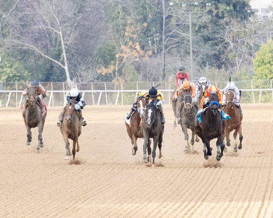 EXPLORA - Honeybee Stakes G3 - 03-01-26 - R09 - OP - Head On 02 - Coady Media - Kurtis Coady Photography