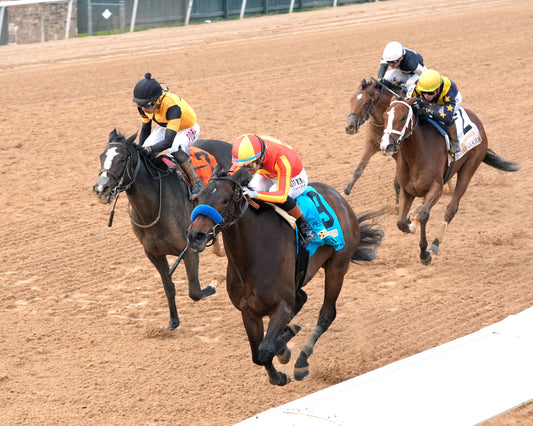 EXPLORA - Honeybee Stakes G3 - 03-01-26 - R09 - OP - Inside Finish 01 - Coady Media - Kurtis Coady Photography