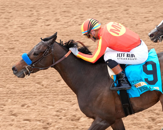 EXPLORA - Honeybee Stakes G3 - 03-01-26 - R09 - OP - Inside Finish 02 - Coady Media - Kurtis Coady Photography