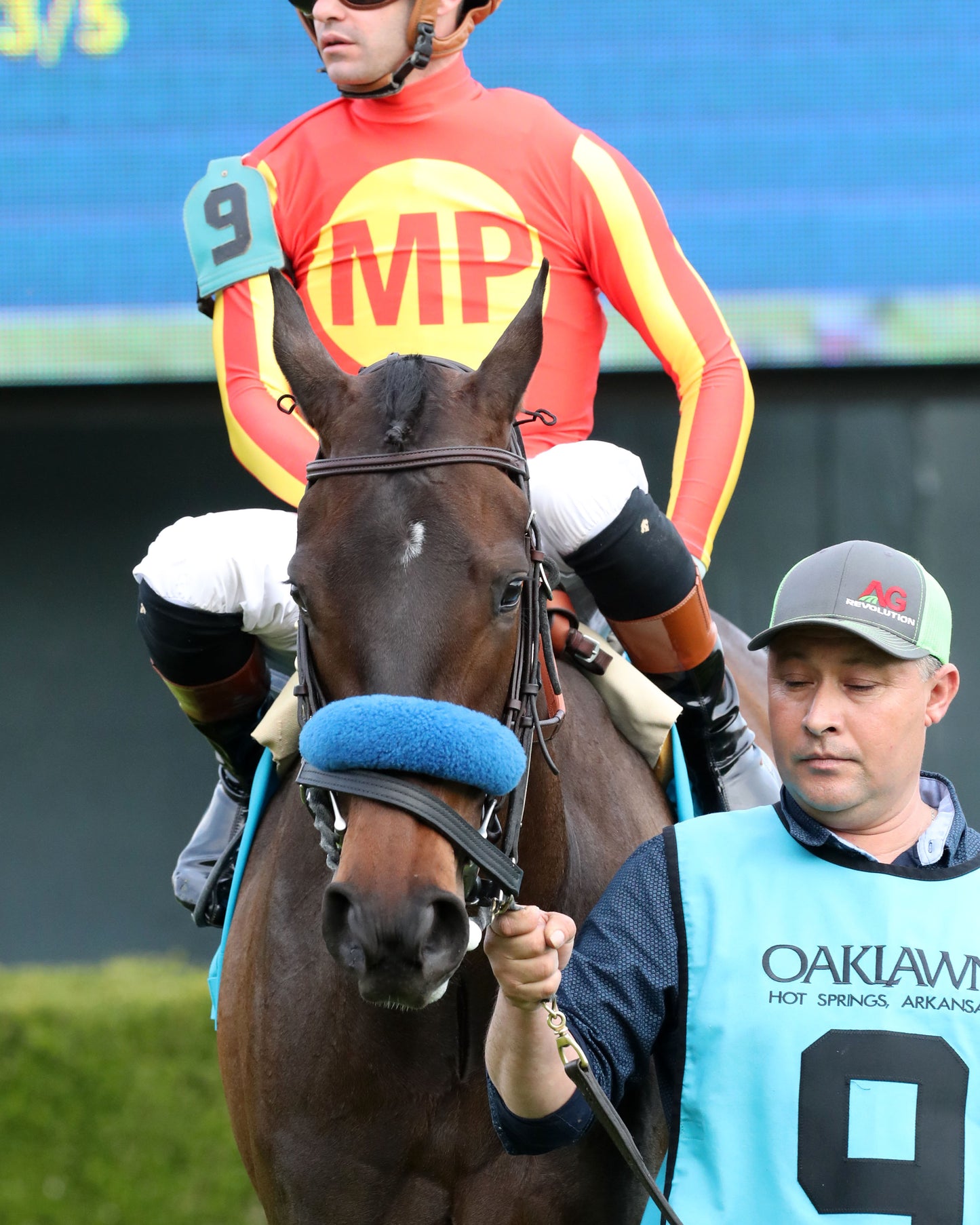 EXPLORA - Honeybee Stakes G3 - 03-01-26 - R09 - OP - Paddock 01 - Coady Media - Kurtis Coady Photography