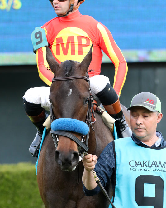 EXPLORA - Honeybee Stakes G3 - 03-01-26 - R09 - OP - Paddock 01 - Coady Media - Kurtis Coady Photography