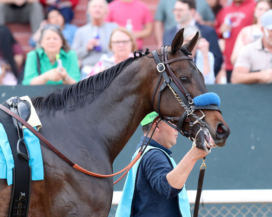 EXPLORA - Honeybee Stakes G3 - 03-01-26 - R09 - OP - Paddock 02 - Coady Media - Kurtis Coady Photography