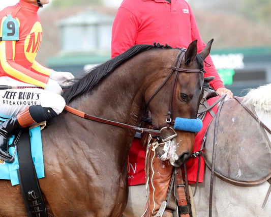 EXPLORA - Honeybee Stakes G3 - 03-01-26 - R09 - OP - Post Parade 01 - Coady Media - Kurtis Coady Photography