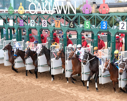 EXPLORA - Honeybee Stakes G3 - 03-01-26 - R09 - OP - Start 01 - Coady Media - Kurtis Coady Photography