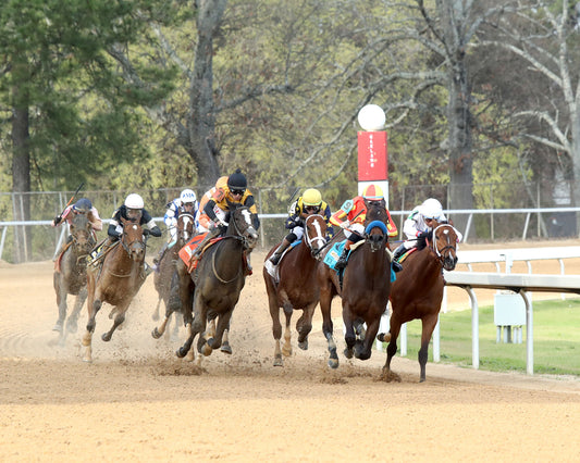 EXPLORA - Honeybee Stakes G3 - 03-01-26 - R09 - OP - Turn 01 - Coady Media - Kurtis Coady Photography