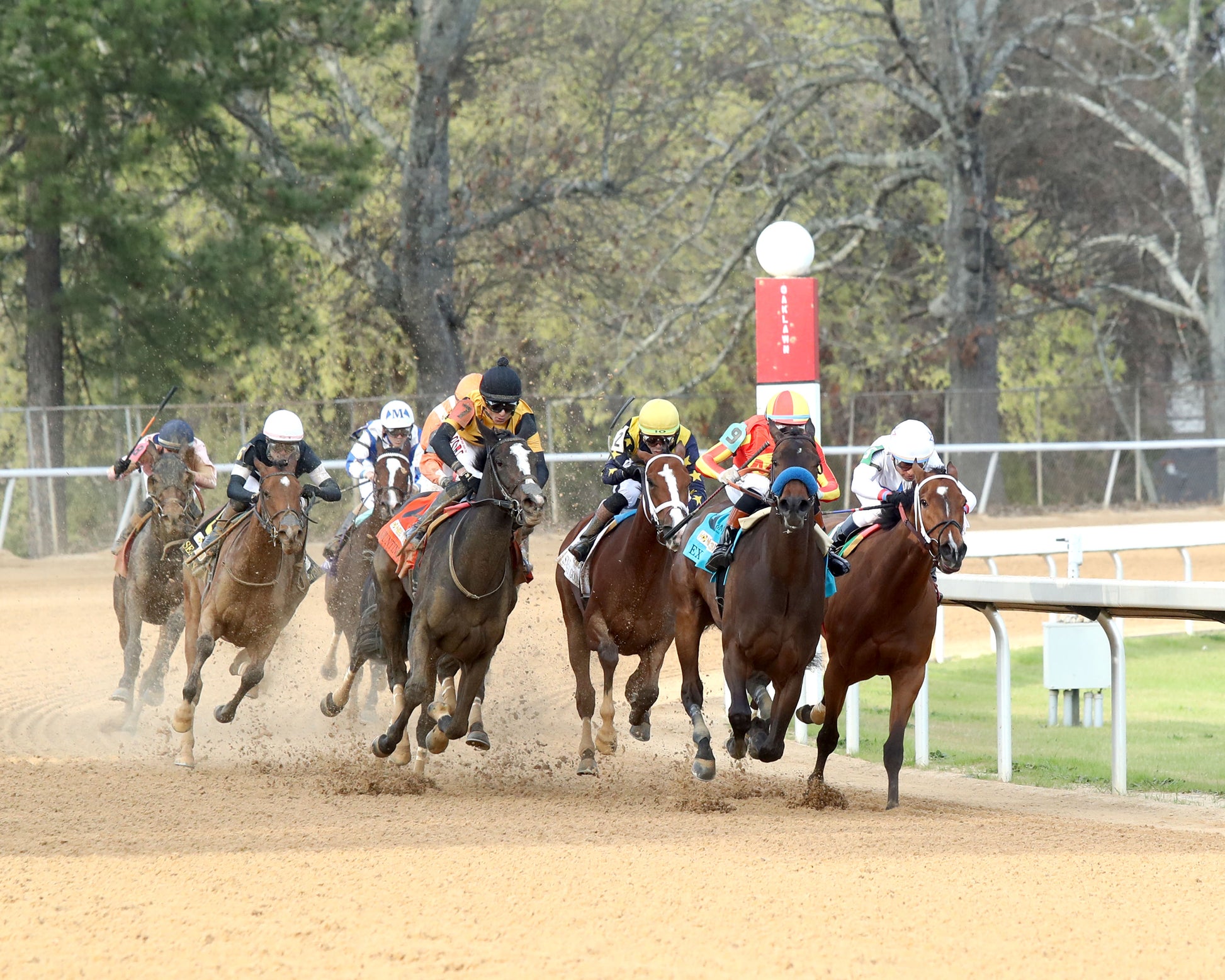 EXPLORA - Honeybee Stakes G3 - 03-01-26 - R09 - OP - Under Rail 01 - Coady Media - Kurtis Coady Photography