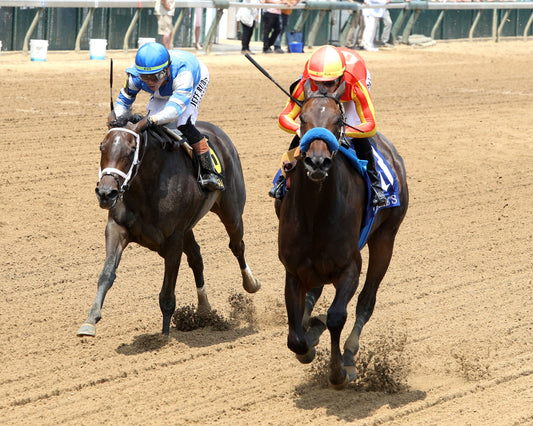 EXPLORA - The Leslie's Lady - 06-07-26 - R06 - CD - Inside Finish 01