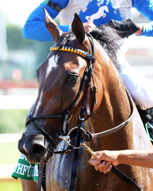 FAITHFUL DEPARTED - 053026 - Race 09 - CD  The Regret G3 - Come Back 01