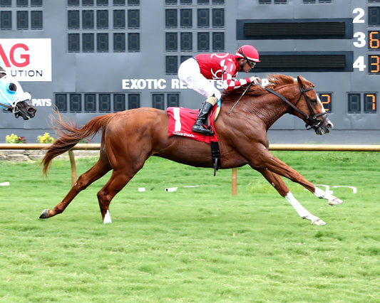 FANCY SAILOR - 080226 - Race 07 - ELP  Finish 01