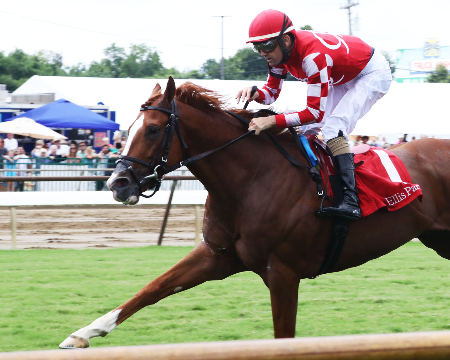 FANCY SAILOR - 080226 - Race 07 - ELP  Inside Finish  01