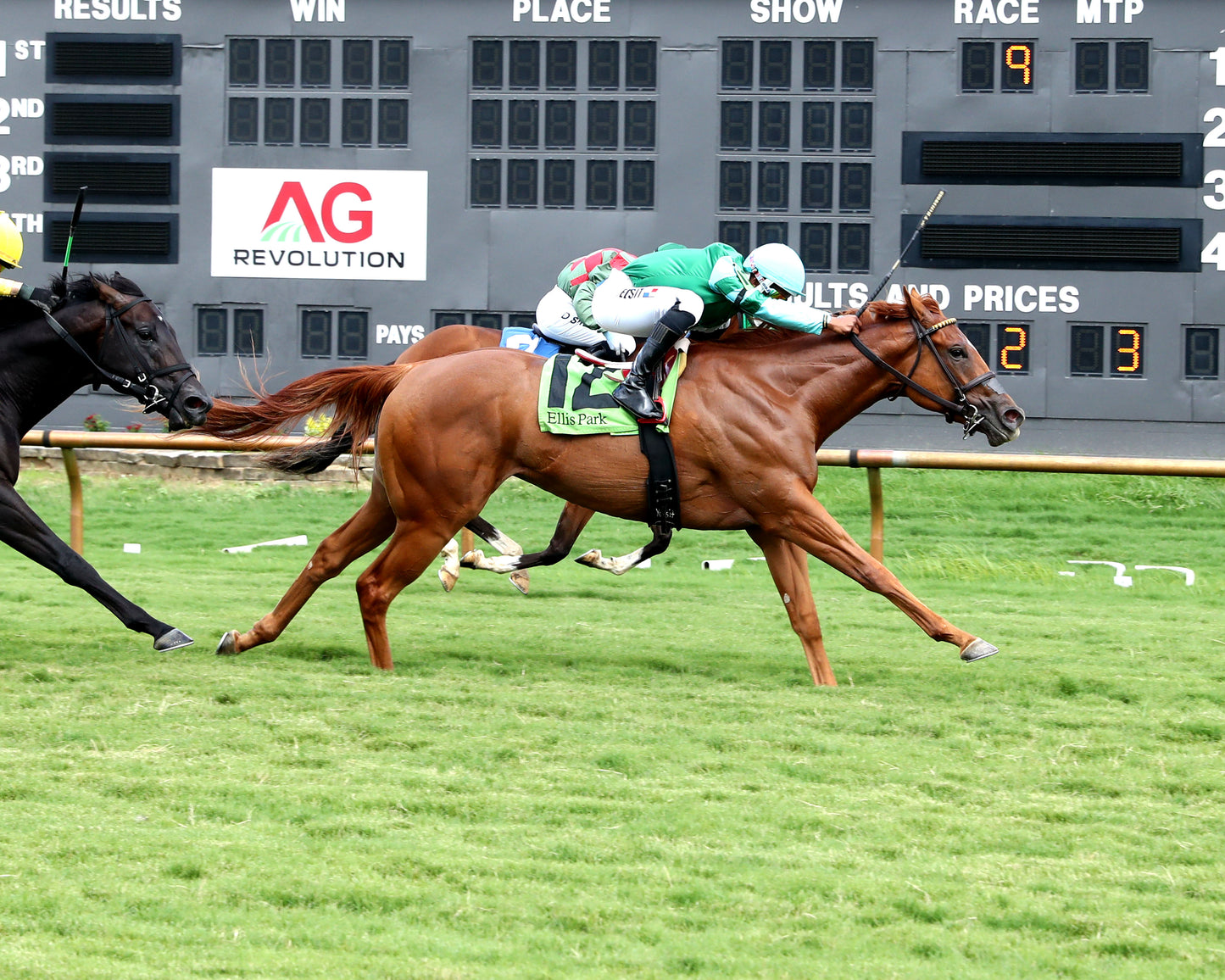 FANSHELL BEACH - Riverside Rush Stakes - 08-01-26 - R09 - ELP - Finish - 01