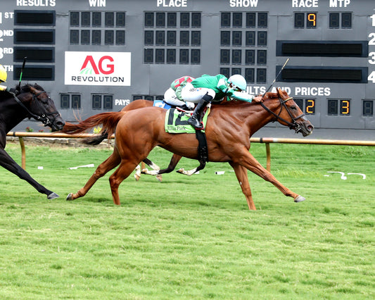 FANSHELL BEACH - Riverside Rush Stakes - 08-01-26 - R09 - ELP - Finish - 01
