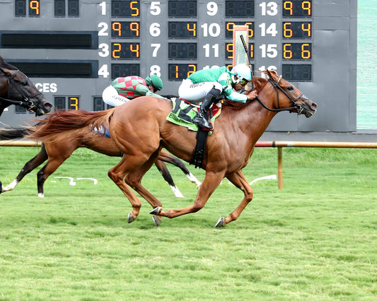 FANSHELL BEACH - Riverside Rush Stakes - 08-01-26 - R09 - ELP - Finish - 02