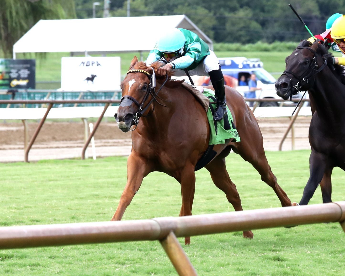 FANSHELL BEACH - Riverside Rush Stakes - 08-01-26 - R09 - ELP - Inside - 01
