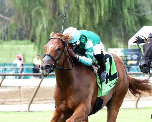 FANSHELL BEACH - Riverside Rush Stakes - 08-01-26 - R09 - ELP - Inside - 02