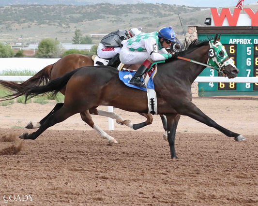 FDD TELLER MRL - Gary Waite Maiden Stakes Trials - 07-02-26 - R01 - WYO