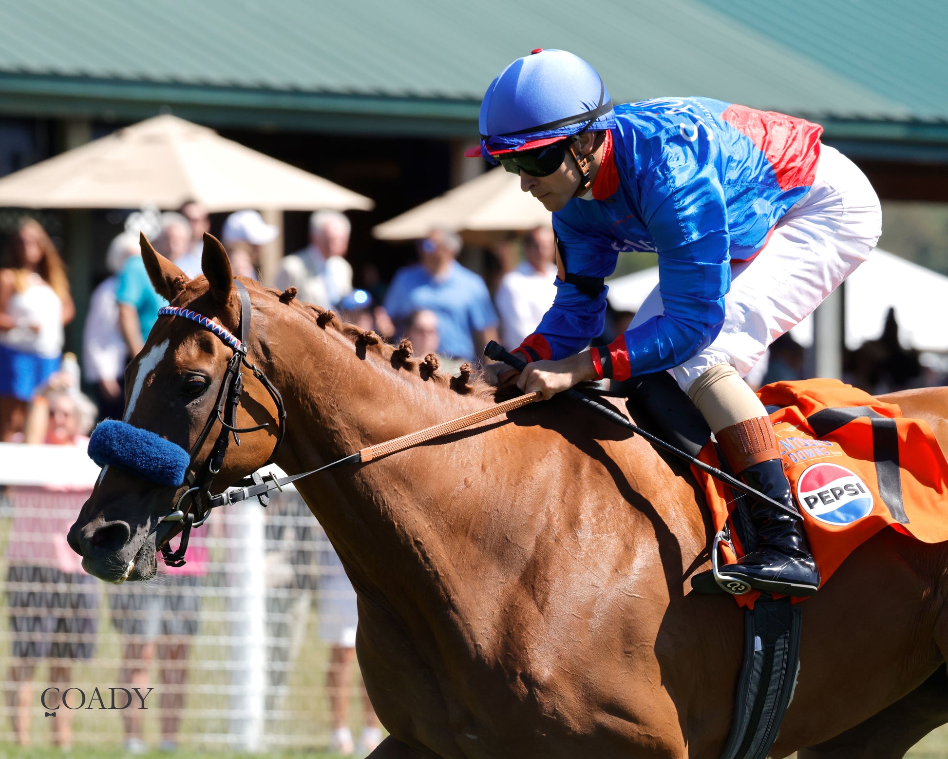 FLATTEN THE CURVE - 083025 - Race 07 - KD - Inside Finish 02 - Coady Media - Kurtis Coady Photography