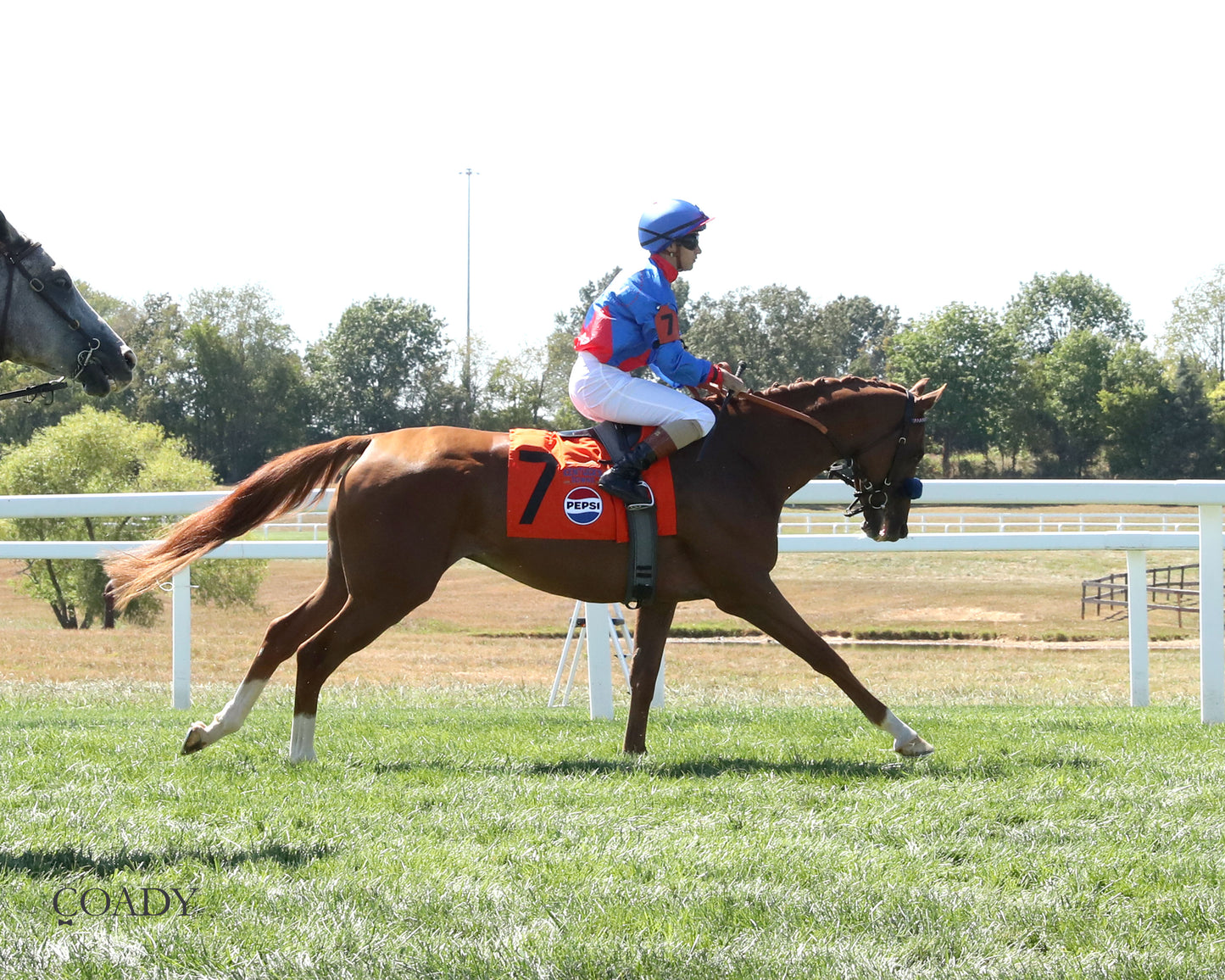 FLATTEN THE CURVE - 083025 - Race 07 - KD - Post Parade 04 - Coady Media - Kurtis Coady Photography