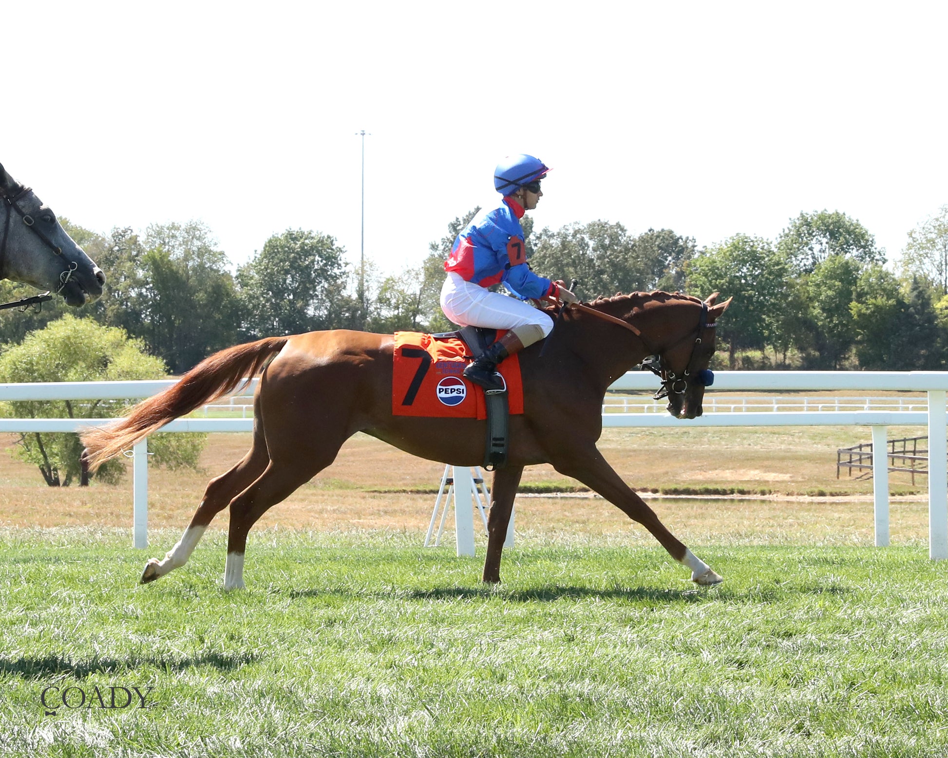FLATTEN THE CURVE - 083025 - Race 07 - KD - Post Parade 04 - Coady Media - Kurtis Coady Photography