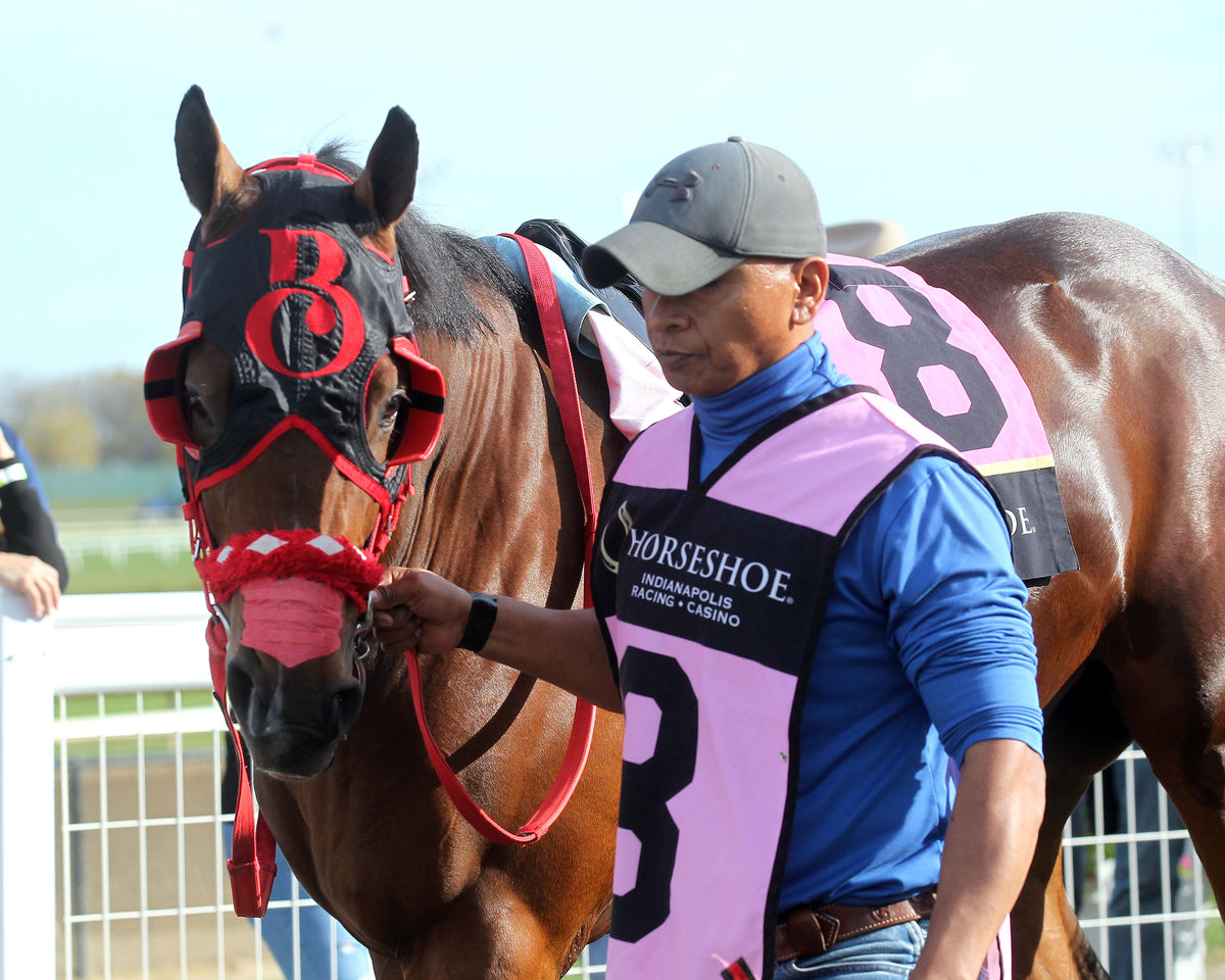 FLYING BEACH - Miss Roxie Little Juvenile Stakes - 10-24-26 - R09 - Horseshoe Indiana - Paddock 01 - Casey Cableall (Copy) - Coady Media - Kurtis Coady Photography