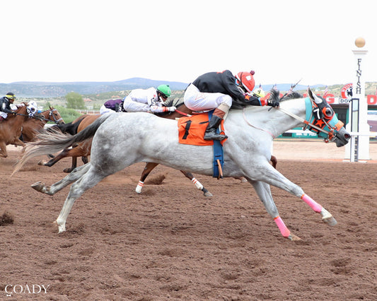 FLYING N THE LIGHTS - Gary Waite Maiden Stakes Trials - 07-02-26 - R06 - WYO